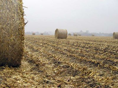 Farm Pellet Mills