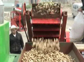peanut shelling equipment